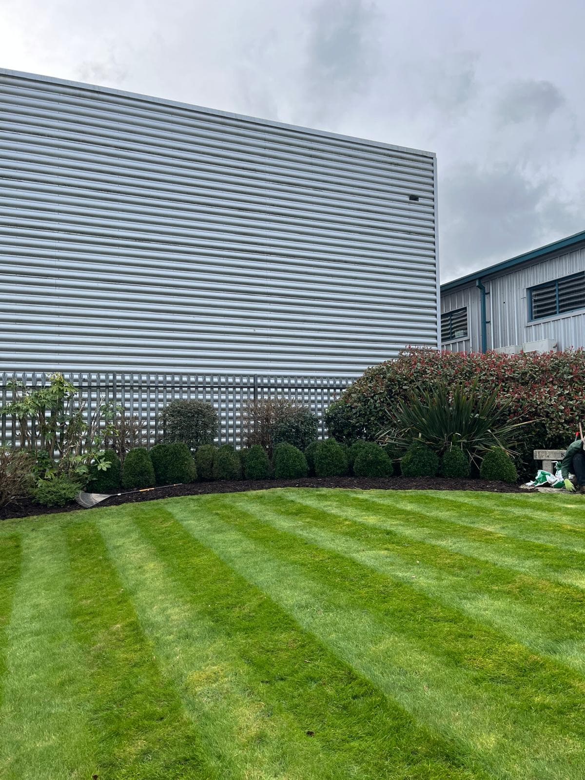 Commercial lawn and border maintenance