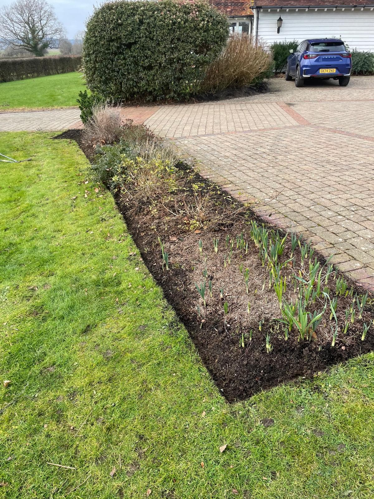 Wide view of replanted driveway border