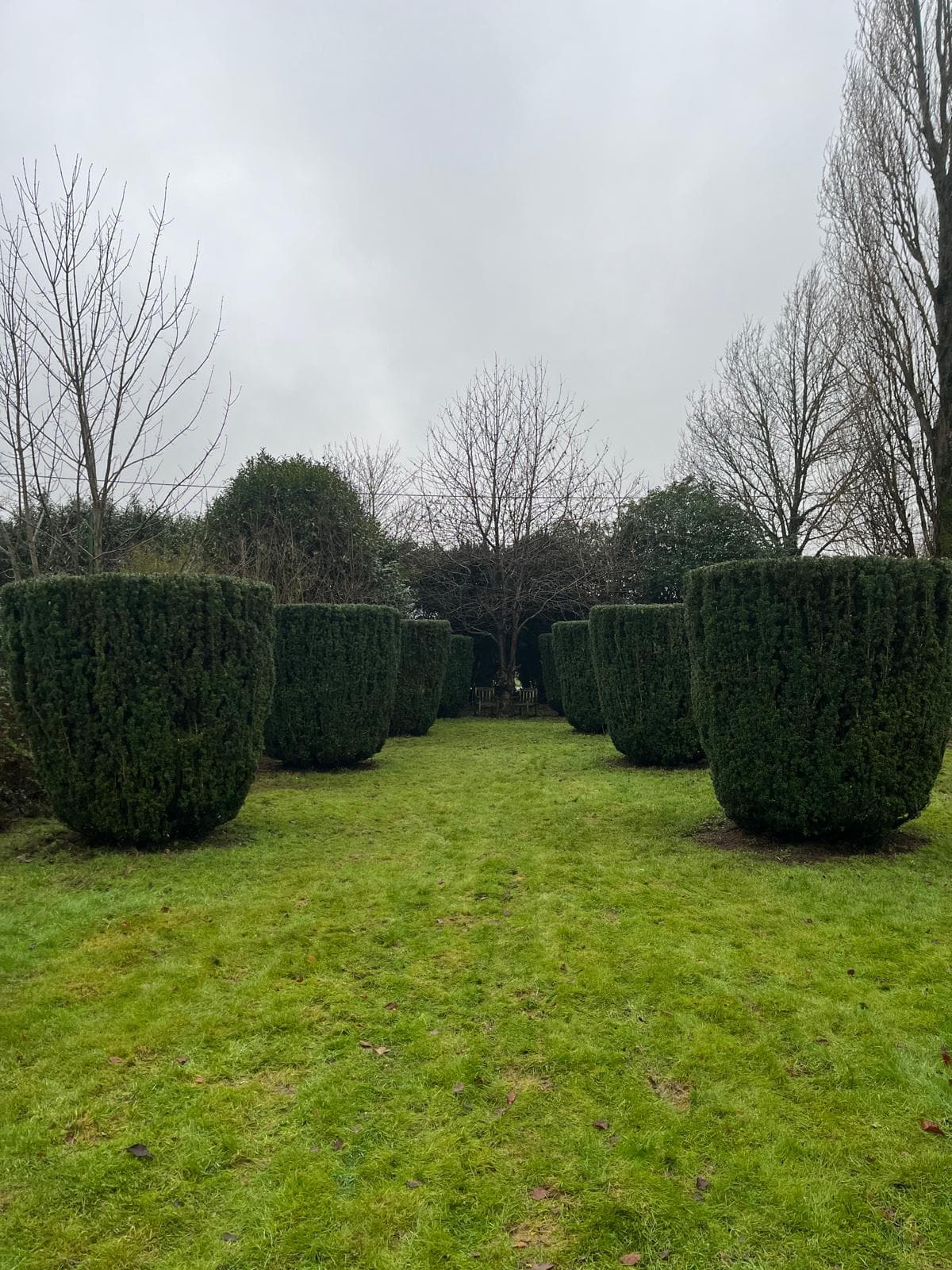 Formal topiary garden alternative view