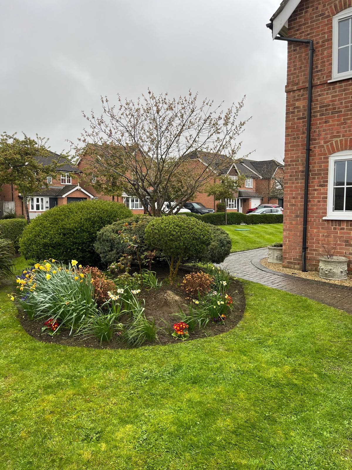 Circular planting bed with seasonal flowers