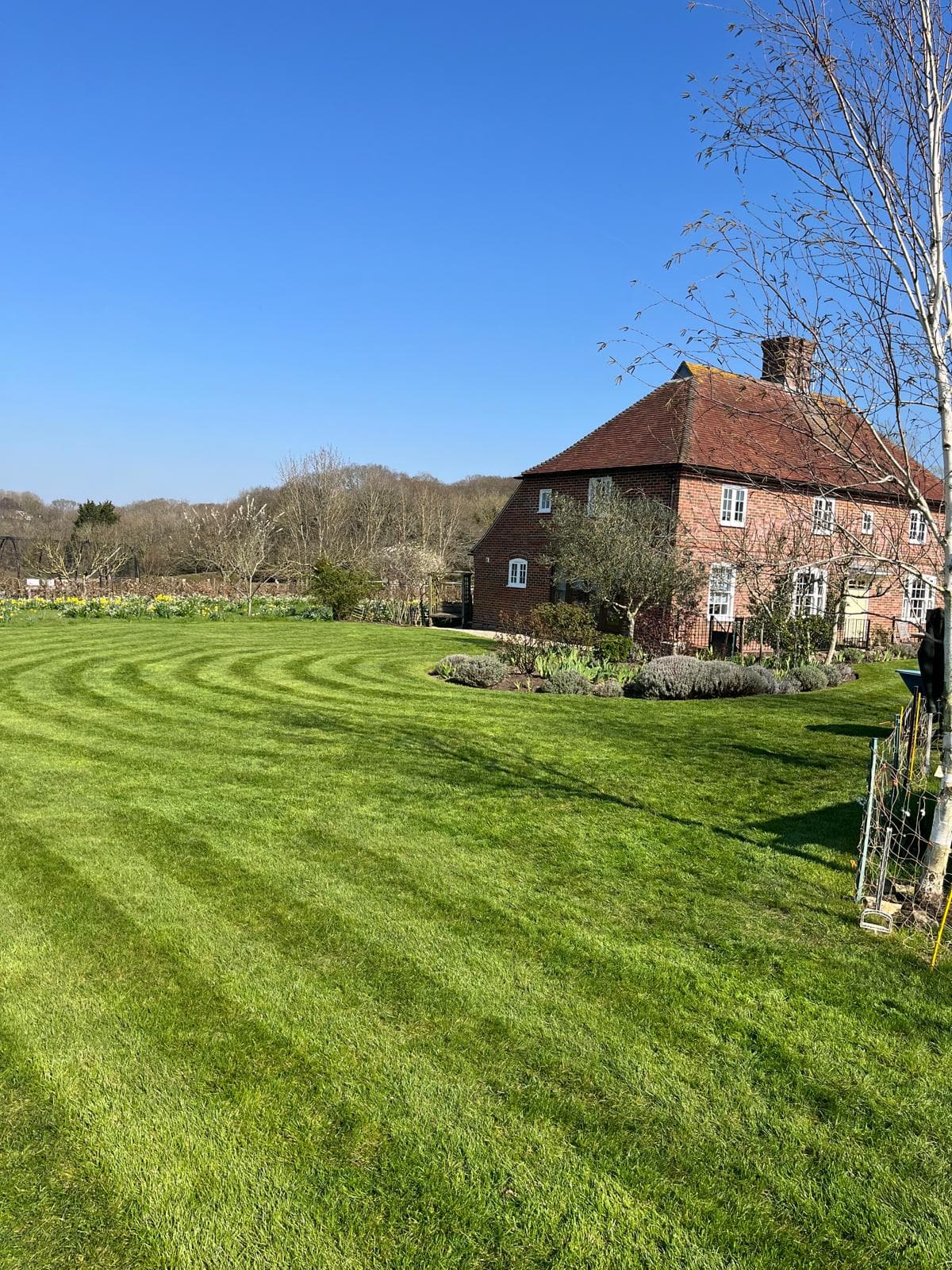 Large lawn with curved mowing stripes