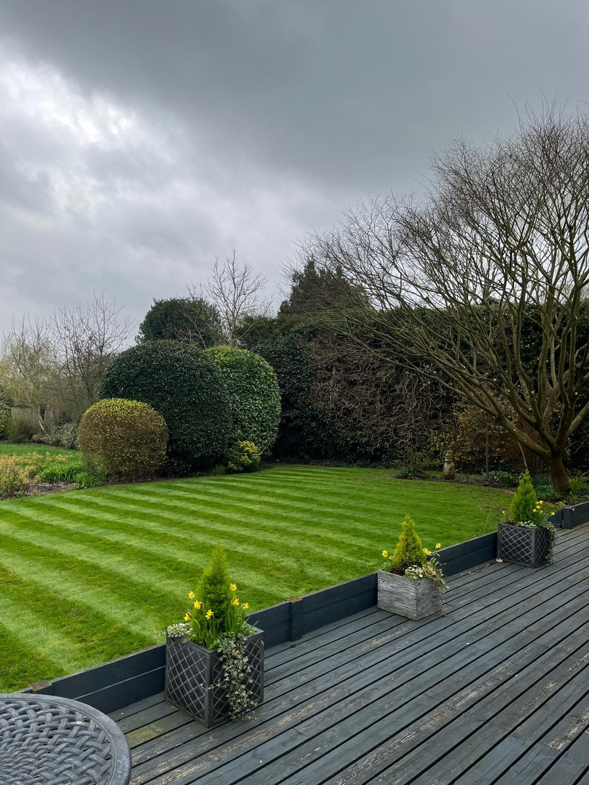 Wide lawn view with clean mowing lines and borders