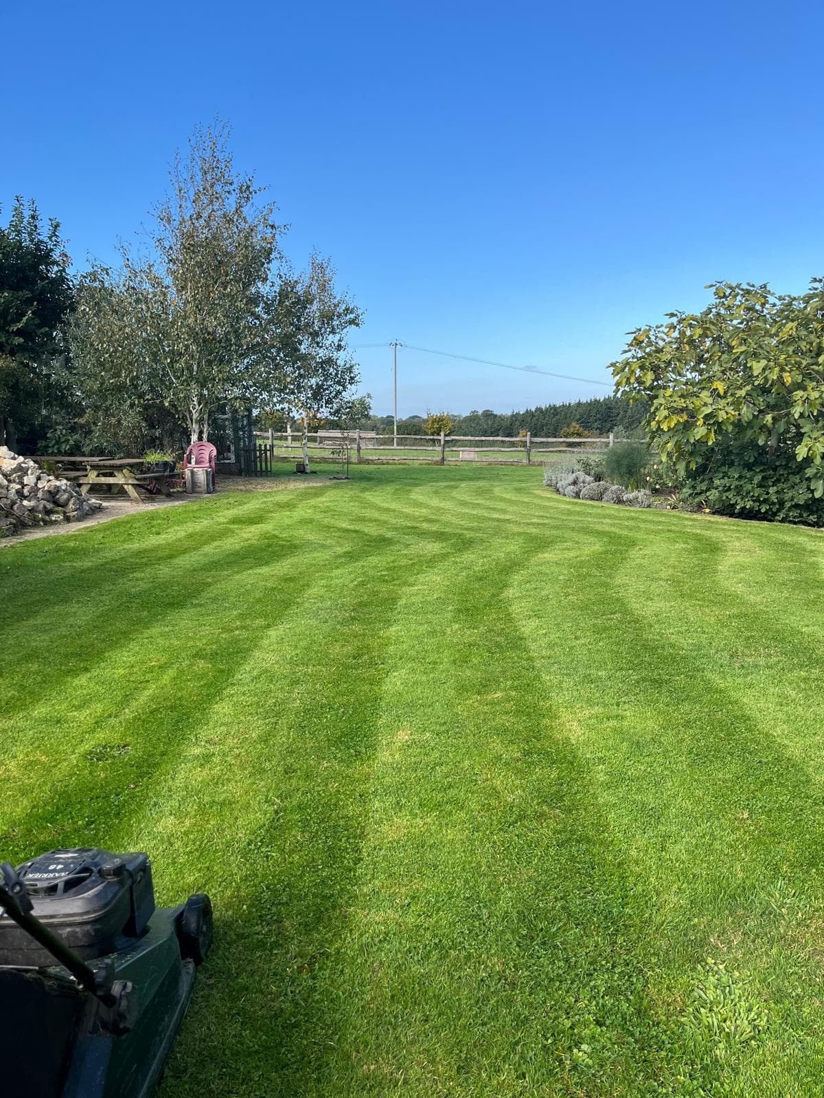 Professionally cut lawn with defined stripes