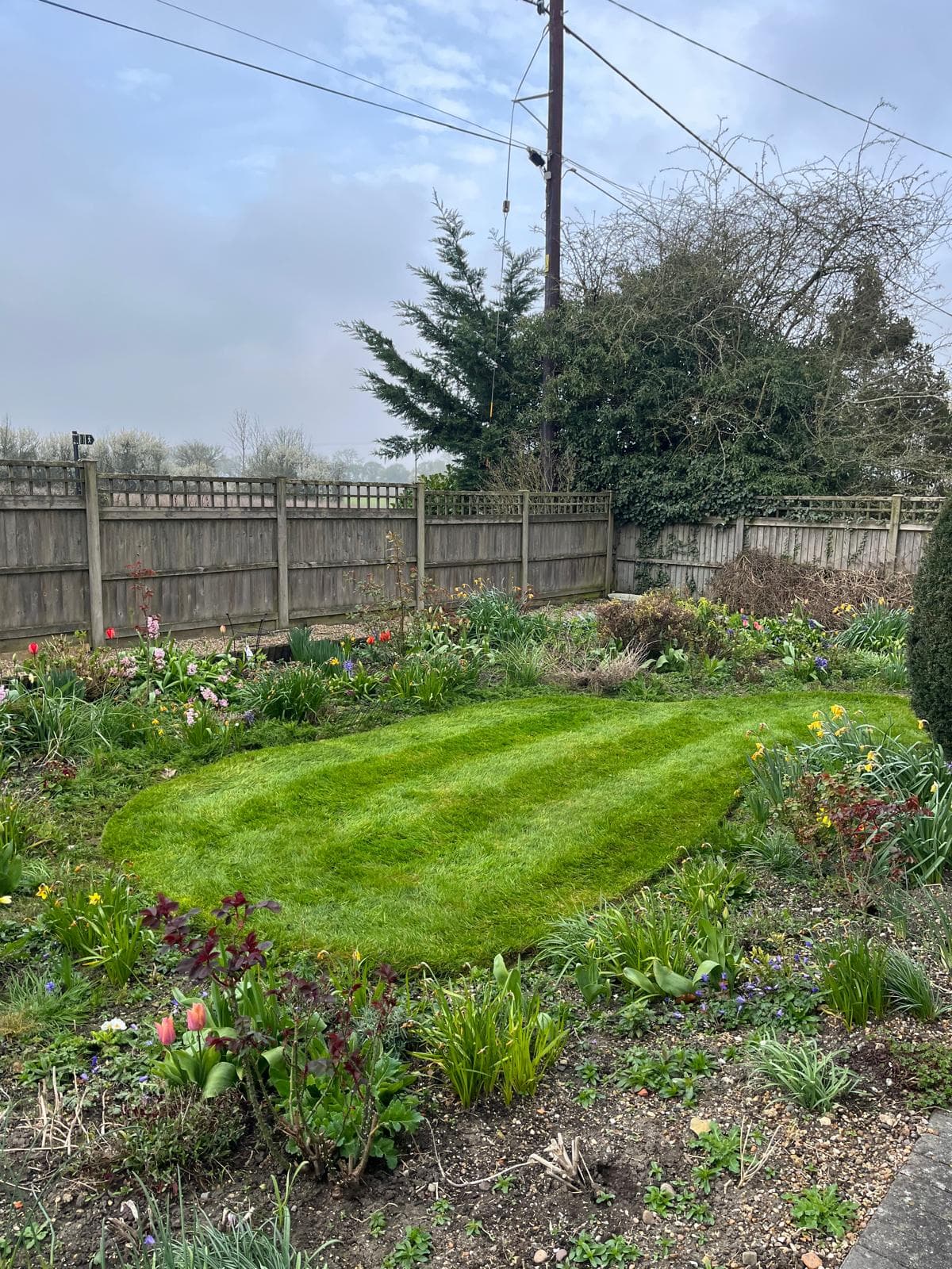 Wildflower border surrounding striped lawn